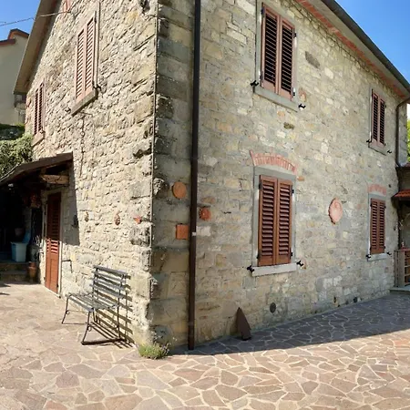 Elisabetta